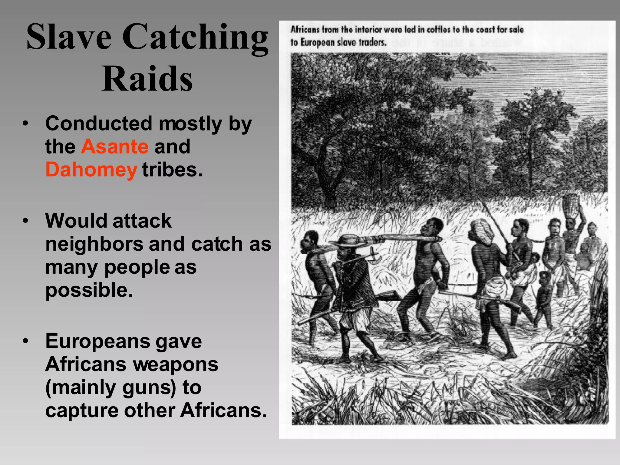 Slave Catching Raids Conducted mostly by the  Asante  and  Dahomey  tribes. Would attack neighbors and catch as many people as possible. Europeans gave Africans weapons (mainly guns) to capture other Africans. 