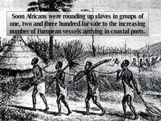 Soon Africans were rounding up slaves in groups of one, two and three hundred for sale to the increasing number of European vessels arriving in coastal ports. 