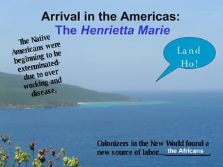 Arrival in the Americas:  The  Henrietta Marie The Native Americans were beginning to be exterminated-due to over working and disease. Land Ho! Colonizers in the New World found a new source of labor... ____________. the Africans 