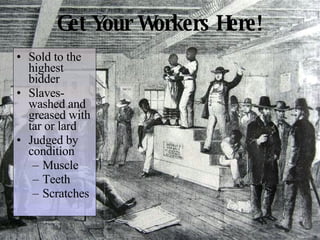 Get Your Workers Here! Sold to the highest bidder Slaves-washed and greased with tar or lard Judged by condition Muscle Teeth Scratches 