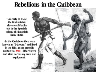 Rebellions in the Caribbean In the Caribbean they were known as "Maroons" and lived in the hills, using guerrilla warfare to _____ other slaves and steal necessary arms and equipment.  free As early as 1522, the first notable slave revolt broke out in the Spanish  colony of Hispaniola (now Haiti). 