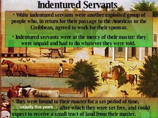 Indentured Servants White indentured servants were another exploited group of people who, in return for their passage to the Americas or the Caribbean, agreed to work for their sponsor. Indentured servants were at the mercy of their master: they were unpaid and had to do whatever they were told.  They were bound to their master for a set period of time, _________________, after which they were set free, and could expect to receive a small tract of land from their master.  usually five years 