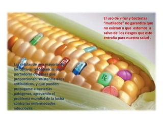 El uso de virus y bacterias
“mutilados” no garantiza que
no existan o que estemos a
salvo de los riesgos que esto
entraña para nuestra salud .
Las células de una mayoría de
los cultivos transgénicos son
portadoras de genes que
proporcionan resistencia a los
antibióticos, y que pueden
propagarse a bacterias
patógenas, agravando el
problema mundial de la lucha
contra las enfermedades
infecciosas.
 
