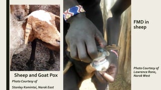 Transboundary diseases and animal welfare concerns | PPTX