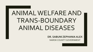 ANIMALWELFARE AND
TRANS-BOUNDARY
ANIMAL DISEASES
DR. SABUNI ZEPHANIA ALEX
NAROKCOUNTYGOVERNMENT
 