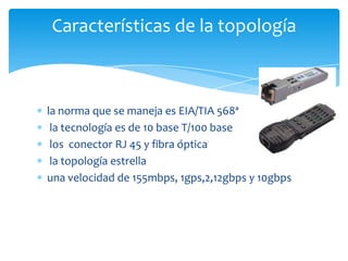 Características de la topología



la norma que se maneja es EIA/TIA 568ª
 la tecnología es de 10 base T/100 base
 los conector RJ 45 y fibra óptica
 la topología estrella
una velocidad de 155mbps, 1gps,2,12gbps y 10gbps
 