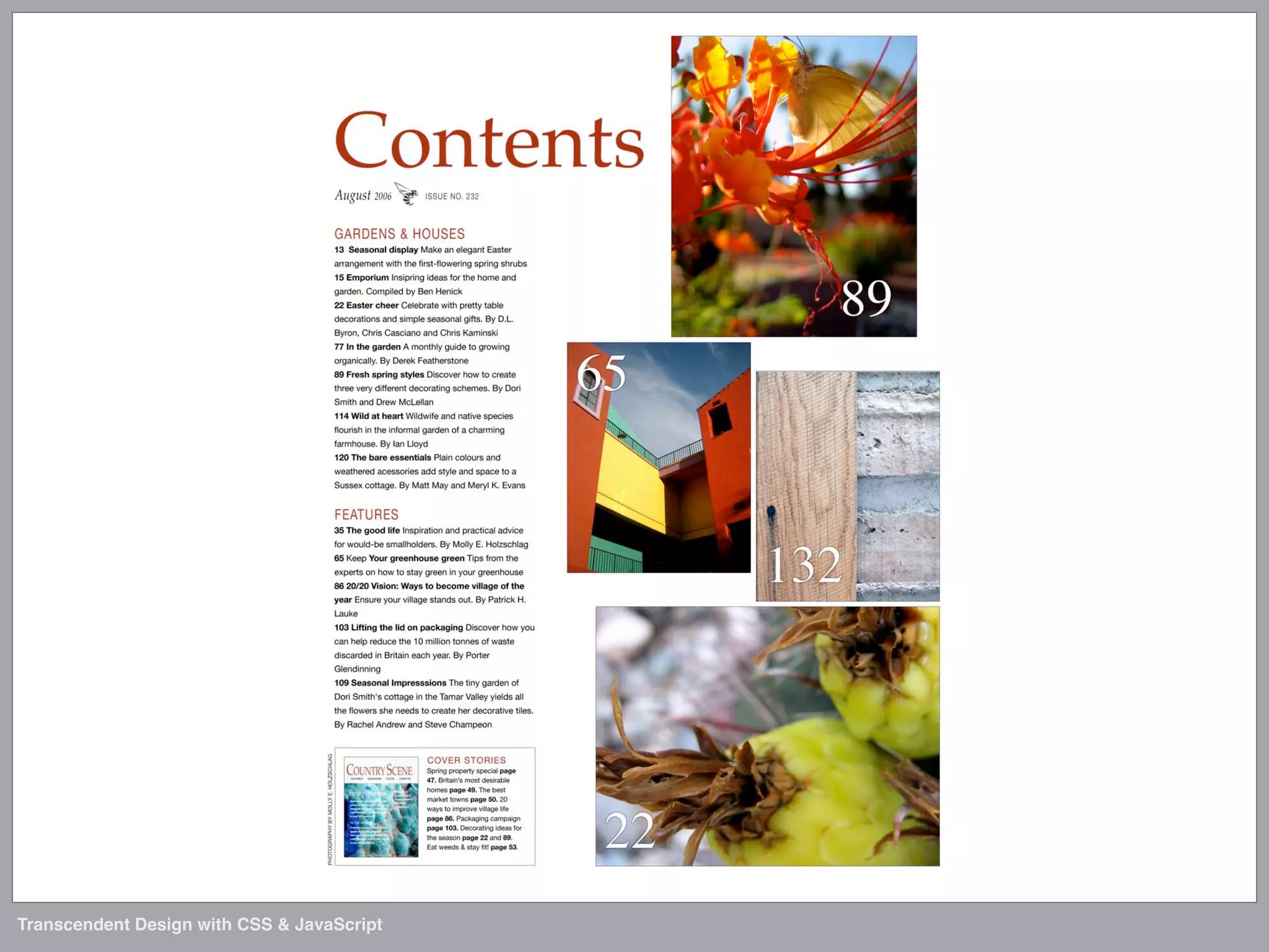 Transcendent Design with CSS & JavaScript (Web Directions North '07)