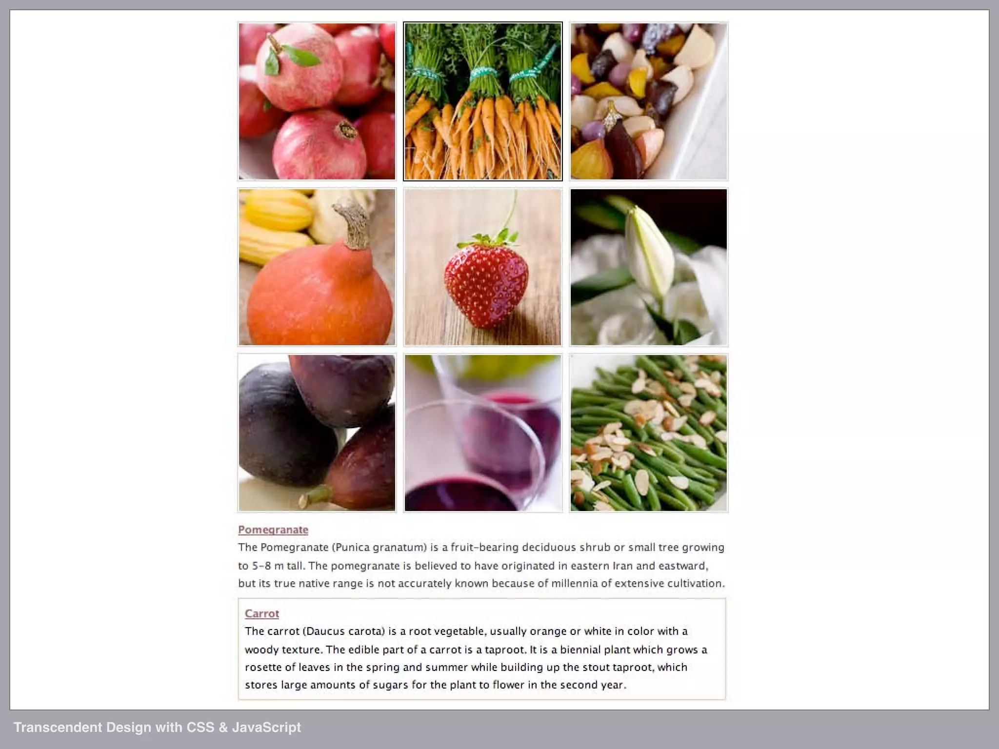 Transcendent Design with CSS & JavaScript (Web Directions North '07)