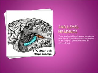 These additional headings are sometimes
used in the External Examination portion
of an Autopsy. (Sometimes used as
subheadings)
 