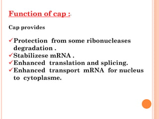 Post tRANSCRIBTION molecular biology.pdf