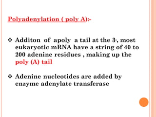Post tRANSCRIBTION molecular biology.pdf