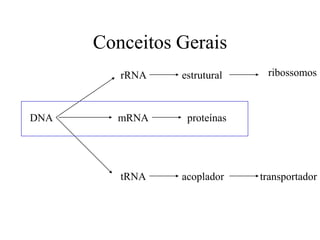 Conceitos Gerais
rRNA estrutural ribossomos
DNA mRNA proteínas
tRNA acoplador transportador