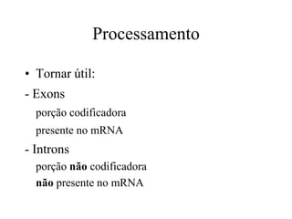 Processamento
• Tornar útil:
- Exons
porção codificadora
presente no mRNA
- Introns
porção não codificadora
não presente no mRNA