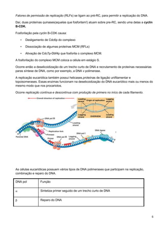 Fatores de permissão de replicação (RLFs) se ligam ao pré-RC, para permitir a replicação do DNA.
Daí, duas proteínas quinases(aquelas que fosforilam!) atuam sobre pre-RC, sendo uma delas a cyclin
B-CDK.
Fosforilação pela cyclin B-CDK causa:
•

Desligamento de Cdc6p do complexo

•

Dissociação de algumas proteínas MCM (RFLs)

•

Ativação de Cdc7p-Dbf4p que fosforila o complexo MCM.

A fosforilação do complexo MCM coloca a célula em estágio S.
Ocorre então a deselicoidização de um trecho curto de DNA e recrutamento de proteínas necessárias
paras síntese de DNA, como por exemplo, a DNA v polimerase.
A replicação eucariótica também possui helicases,proteínas de ligação unifilamentar e
topoisomerases. Essas enzimas funcionam na deselicoidização do DNA eucariótico mais ou menos do
mesmo modo que nos procariotos.
Ocorre replicação contínua e descontínua com produção de primers no iníco de cada filamento.

As células eucarióticas possuem vários tipos de DNA polimerases que participam na replicação,
combinação e reparo do DNA.
DNA pol

Função
Sintetiza primer seguido de um trecho curto de DNA
Reparo do DNA

6

 