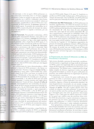 Mecanismos Básicos da Genética Molecular