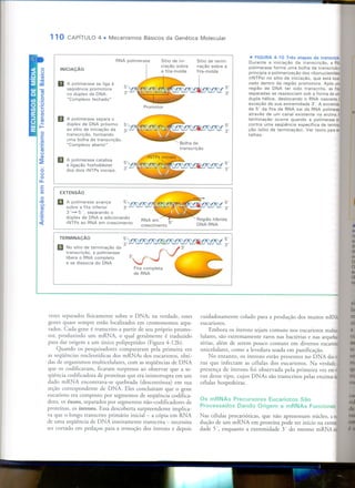Mecanismos Básicos da Genética Molecular