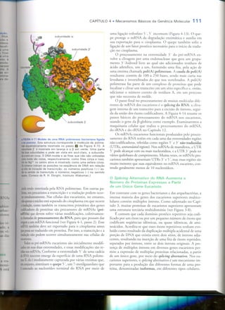 Mecanismos Básicos da Genética Molecular