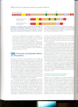 Mecanismos Básicos da Genética Molecular