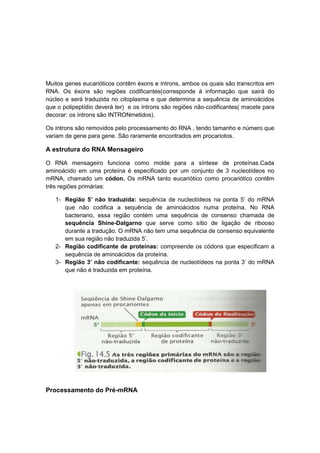 Muitos genes eucarióticos contêm éxons e íntrons, ambos os quais são transcritos em
RNA. Os éxons são regiões codificantes(corresponde á informação que sairá do
núcleo e será traduzida no citoplasma e que determina a sequência de aminoácidos
que o polipeptídio deverá ter) e os íntrons são regiões não-codificantes( macete para
decorar: os íntrons são INTRONmetidos).

Os íntrons são removidos pelo processamento do RNA , tendo tamanho e número que
variam de gene para gene. São raramente encontrados em procariotos.

A estrutura do RNA Mensageiro

O RNA mensageiro funciona como molde para a síntese de proteínas.Cada
aminoácido em uma proteína é especificado por um conjunto de 3 nucleotídeos no
mRNA, chamado um códon. Os mRNA tanto eucariótico como procariótico contêm
três regiões primárias:

   1- Região 5’ não traduzida: sequência de nucleotídeos na ponta 5’ do mRNA
      que não codifica a sequência de aminoácidos numa proteína. No RNA
      bacteriano, essa região contém uma sequência de consenso chamada de
      sequência Shine-Dalgarno que serve como sítio de ligação de ribooso
      durante a tradução. O mRNA não tem uma sequência de consenso equivalente
      em sua região não traduzida 5’.
   2- Região codificante de proteínas: compreende os códons que especificam a
      sequência de aminoácidos da proteína.
   3- Região 3’ não codificante: sequência de nucleotídeos na ponta 3’ do mRNA
      que não é traduzida em proteína.




Processamento do Pré-mRNA
 