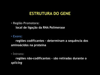 ESTRUTURA DO GENE
• Região Promotora:
local de ligação da RNA Polimerase
• Exons:
regiões codificantes – determinam a sequência dos
aminoácidos na proteína
• Íntrons:
regiões não-codificantes – são retiradas durante o
splicing
 