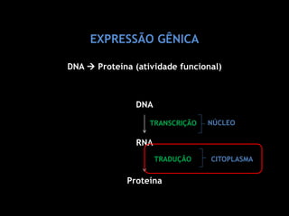 EXPRESSÃO GÊNICA
DNA  Proteína (atividade funcional)
DNA
RNA
Proteína
TRANSCRIÇÃO
TRADUÇÃO
NÚCLEO
CITOPLASMA
 