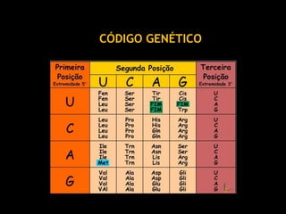 CÓDIGO GENÉTICO
 