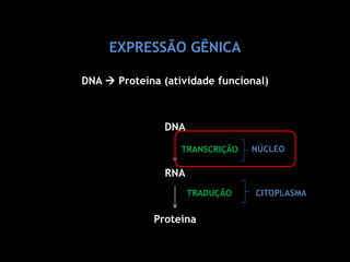 EXPRESSÃO GÊNICA
DNA  Proteína (atividade funcional)
DNA
RNA
Proteína
TRANSCRIÇÃO
TRADUÇÃO
NÚCLEO
CITOPLASMA
 