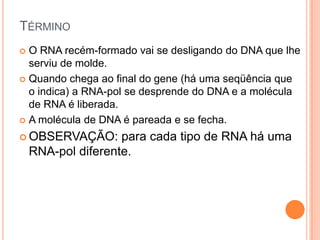 TÉRMINO
 O RNA recém-formado vai se desligando do DNA que lhe
  serviu de molde.
 Quando chega ao final do gene (há uma seqüência que
  o indica) a RNA-pol se desprende do DNA e a molécula
  de RNA é liberada.
 A molécula de DNA é pareada e se fecha.

 OBSERVAÇÃO:       para cada tipo de RNA há uma
    RNA-pol diferente.
 