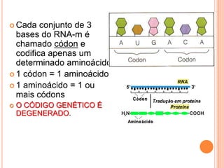  Cada   conjunto de 3
  bases do RNA-m é
  chamado códon e
  codifica apenas um
  determinado aminoácido.
 1 códon = 1 aminoácido
 1 aminoácido = 1 ou
  mais códons
   O CÓDIGO GENÉTICO É
    DEGENERADO.
 