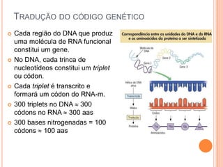 TRADUÇÃO DO CÓDIGO GENÉTICO
   Cada região do DNA que produz
    uma molécula de RNA funcional
    constitui um gene.
   No DNA, cada trinca de
    nucleotídeos constitui um triplet
    ou códon.
   Cada triplet é transcrito e
    formará um códon do RNA-m.
   300 triplets no DNA 300
    códons no RNA 300 aas
   300 bases nitrogenadas = 100
    códons 100 aas
 