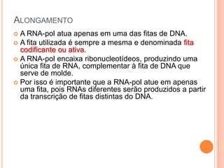 ALONGAMENTO
 A RNA-pol atua apenas em uma das fitas de DNA.
 A fita utilizada é sempre a mesma e denominada fita
  codificante ou ativa.
 A RNA-pol encaixa ribonucleotídeos, produzindo uma
  única fita de RNA, complementar à fita de DNA que
  serve de molde.
 Por isso é importante que a RNA-pol atue em apenas
  uma fita, pois RNAs diferentes serão produzidos a partir
  da transcrição de fitas distintas do DNA.
 