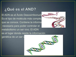El ADN es el Ácido Desoxirribonucleico.
Es el tipo de molécula más compleja
que se conoce. Contiene la información
necesaria para poder controlar el
metabolismo un ser vivo. El ADN
es el lugar donde reside la información
genética de un ser vivo.

 