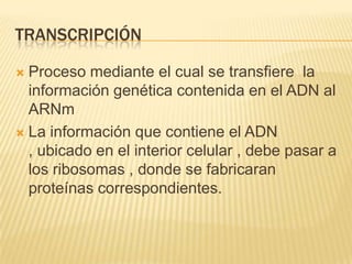 Transcripción  Proceso mediante el cual se transfiere  la información genética contenida en el ADN al ARNm La información que contiene el ADN , ubicado en el interior celular , debe pasar a los ribosomas , donde se fabricaran proteínas correspondientes. 