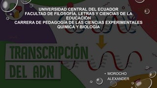 UNIVERSIDAD CENTRAL DEL ECUADOR
FACULTAD DE FILOSOFÍA, LETRAS Y CIENCIAS DE LA
EDUCACIÓN
CARRERA DE PEDAGOGÍA DE LAS CIENCIAS EXPERIMENTALES
QUÍMICA Y BIOLOGÍA
• MOROCHO
ALEXANDER
 