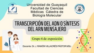 Universidad de Guayaquil
Facultad de Ciencias
Médicas Cátedra de
Biología Molecular
Docente: Dr. J. RAMÓN VILLACRÉS PÁSTOR MSc.
Grupo 6 de exposición
 
