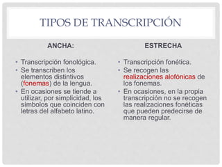TIPOS DE TRANSCRIPCIÓN
ANCHA:
• Transcripción fonológica.
• Se transcriben los
elementos distintivos
(fonemas) de la lengua.
• En ocasiones se tiende a
utilizar, por simplicidad, los
símbolos que coinciden con
letras del alfabeto latino.
ESTRECHA
• Transcripción fonética.
• Se recogen las
realizaciones alofónicas de
los fonemas.
• En ocasiones, en la propia
transcripción no se recogen
las realizaciones fonéticas
que pueden predecirse de
manera regular.
 