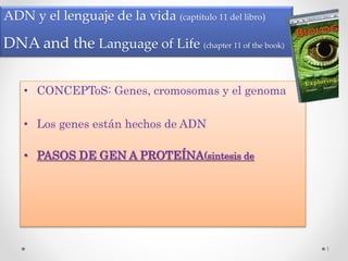 ADN y el lenguaje de la vida (captítulo 11 del libro)
DNA and the Language of Life (chapter 11 of the book)
• CONCEPToS: Genes, cromosomas y el genoma
• Los genes están hechos de ADN
• PASOS DE GEN A PROTEÍNA(sintesis de
1
 