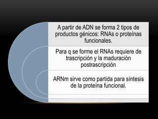 A partir de ADN se forma 2 tipos de
productos génicos: RNAs o proteínas
funcionales.
Para q se forme el RNAs requiere de
trascripción y la maduración
postrascripción
ARNm sirve como partida para síntesis
de la proteína funcional.
 