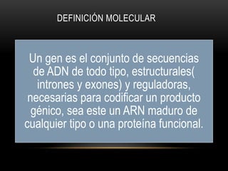DEFINICIÓN MOLECULAR
Un gen es el conjunto de secuencias
de ADN de todo tipo, estructurales(
intrones y exones) y reguladoras,
necesarias para codificar un producto
génico, sea este un ARN maduro de
cualquier tipo o una proteína funcional.
 