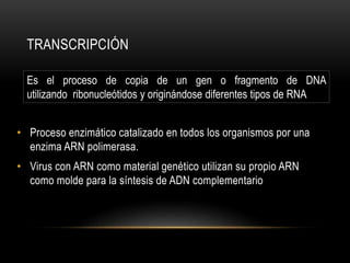 TRANSCRIPCIÓN
• Proceso enzimático catalizado en todos los organismos por una
enzima ARN polimerasa.
• Virus con ARN como material genético utilizan su propio ARN
como molde para la síntesis de ADN complementario
Es el proceso de copia de un gen o fragmento de DNA
utilizando ribonucleótidos y originándose diferentes tipos de RNA
 