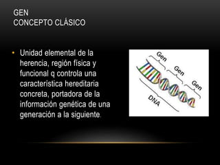GEN
CONCEPTO CLÁSICO
• Unidad elemental de la
herencia, región física y
funcional q controla una
característica hereditaria
concreta, portadora de la
información genética de una
generación a la siguiente.
 