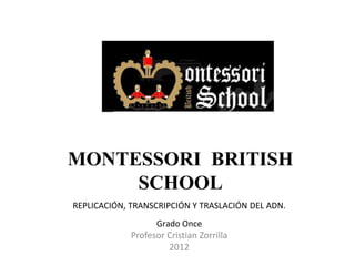 MONTESSORI BRITISH
SCHOOL
REPLICACIÓN, TRANSCRIPCIÓN Y TRASLACIÓN DEL ADN.
Grado Once
Profesor Cristian Zorrilla
2012
 