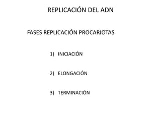 FASES REPLICACIÓN PROCARIOTAS
1) INICIACIÓN
2) ELONGACIÓN
3) TERMINACIÓN
REPLICACIÓN DEL ADN
 