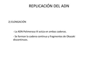 REPLICACIÓN DEL ADN
2) ELONGACIÓN
- La ADN Polimerasa III actúa en ambas cadenas.
- Se forman la cadena continua y fragmentos de Okazaki
discontinuos.
 