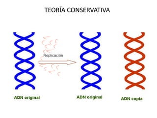 TEORÍA CONSERVATIVA
 