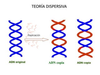 ADN copia
TEORÍA DISPERSIVA
 