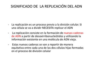 - La replicación es un proceso previo a la división celular. Si
una célula se va a dividir NECESITA replicar el ADN
- La replicación consiste en la formación de nuevas cadenas
de ADN a partir de desoxirribonucleótidos y utilizando la
información existente en una molécula de ADN vieja.
- Estas nuevas cadenas se van a repartir de manera
equitativa entre cada una de las dos células hijas formadas
en el proceso de división celular
SIGNIFICADO DE LA REPLICACIÓN DEL ADN
 