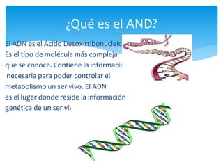 El ADN es el Ácido Desoxirribonucleico.
Es el tipo de molécula más compleja
que se conoce. Contiene la información
necesaria para poder controlar el
metabolismo un ser vivo. El ADN
es el lugar donde reside la información
genética de un ser vivo.
¿Qué es el AND?
 