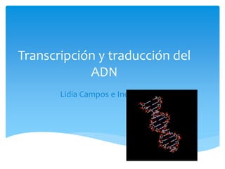 Transcripción y traducción del
ADN
Lidia Campos e Inés Jiménez
 