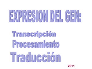 EXPRESION DEL GEN:  Transcripción Procesamiento Traducción 2011 